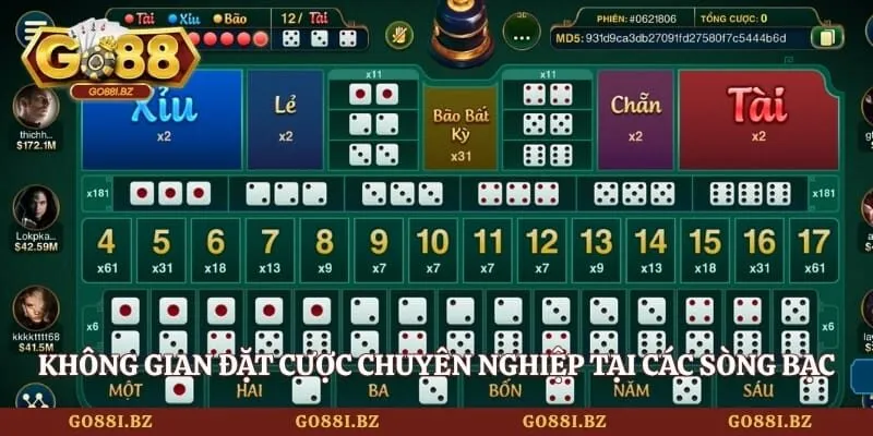Không gian đặt cược chuyên nghiệp tại các sòng bạc
